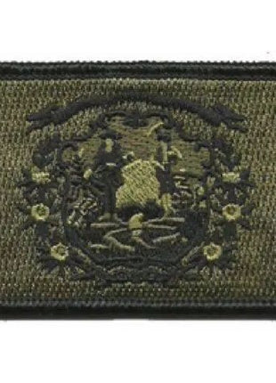 BuckUp Tactical Morale Patch Hook West Virginia Charleston State Patches 3x2".