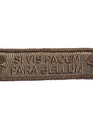BuckUp Tactical Morale Patch Hook Si Vis Pacem Para Bellum Punisher 3.75x1".