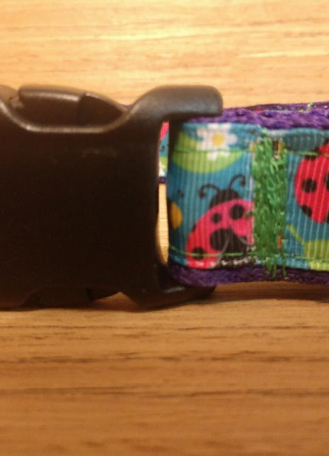 Collar/ Large/ Medium/ Lady Bugs