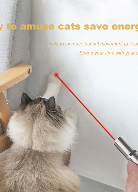 Pet Training Exercise Tool Cat Toys LED Pointer