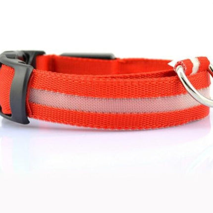 2 PCS Set Nylon LED Dog Collar