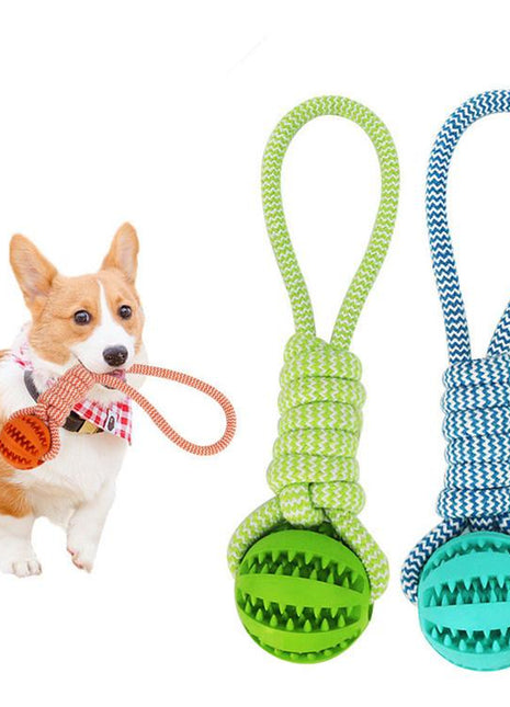 Durable Rubber Ball Chew Toy with Cotton Rope