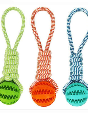 Durable Rubber Ball Chew Toy with Cotton Rope