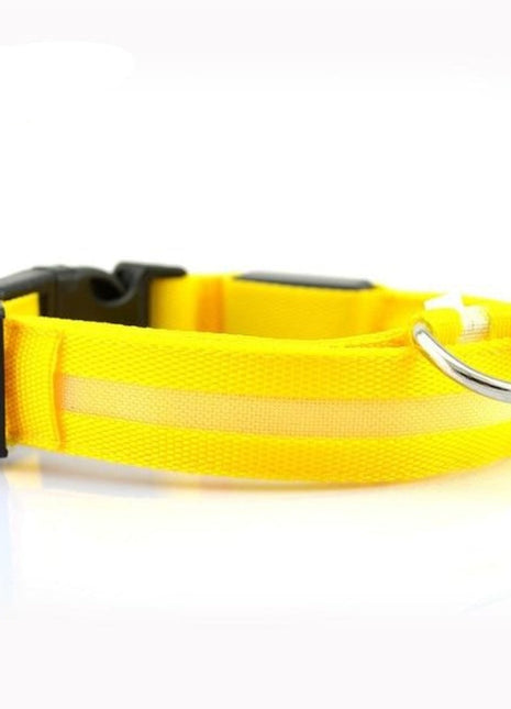 2 PCS Set Nylon LED Dog Collar