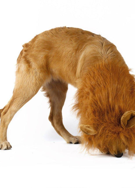 Lion Theme Dog Wig