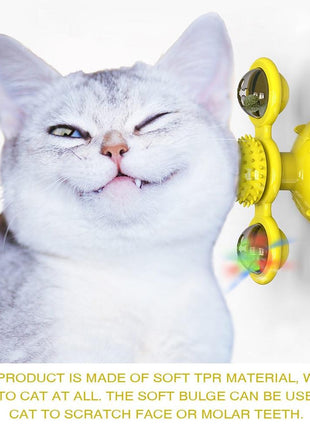 Cats Whirling LED Balls