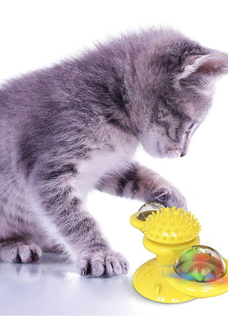 Cats Whirling LED Balls