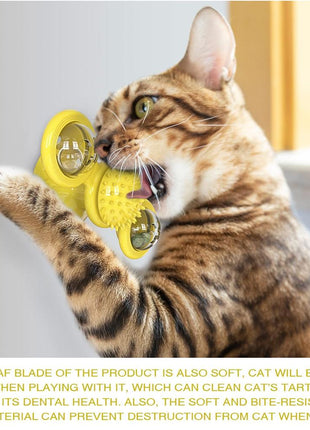 Cats Whirling LED Balls
