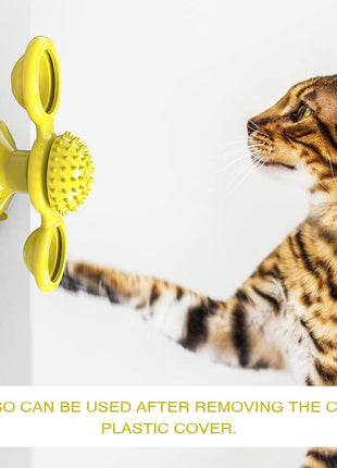 Cats Whirling LED Balls