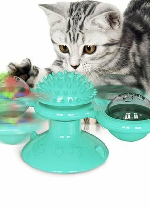 Cats Whirling LED Balls