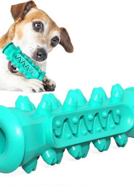 Chewing Toy for Dogs